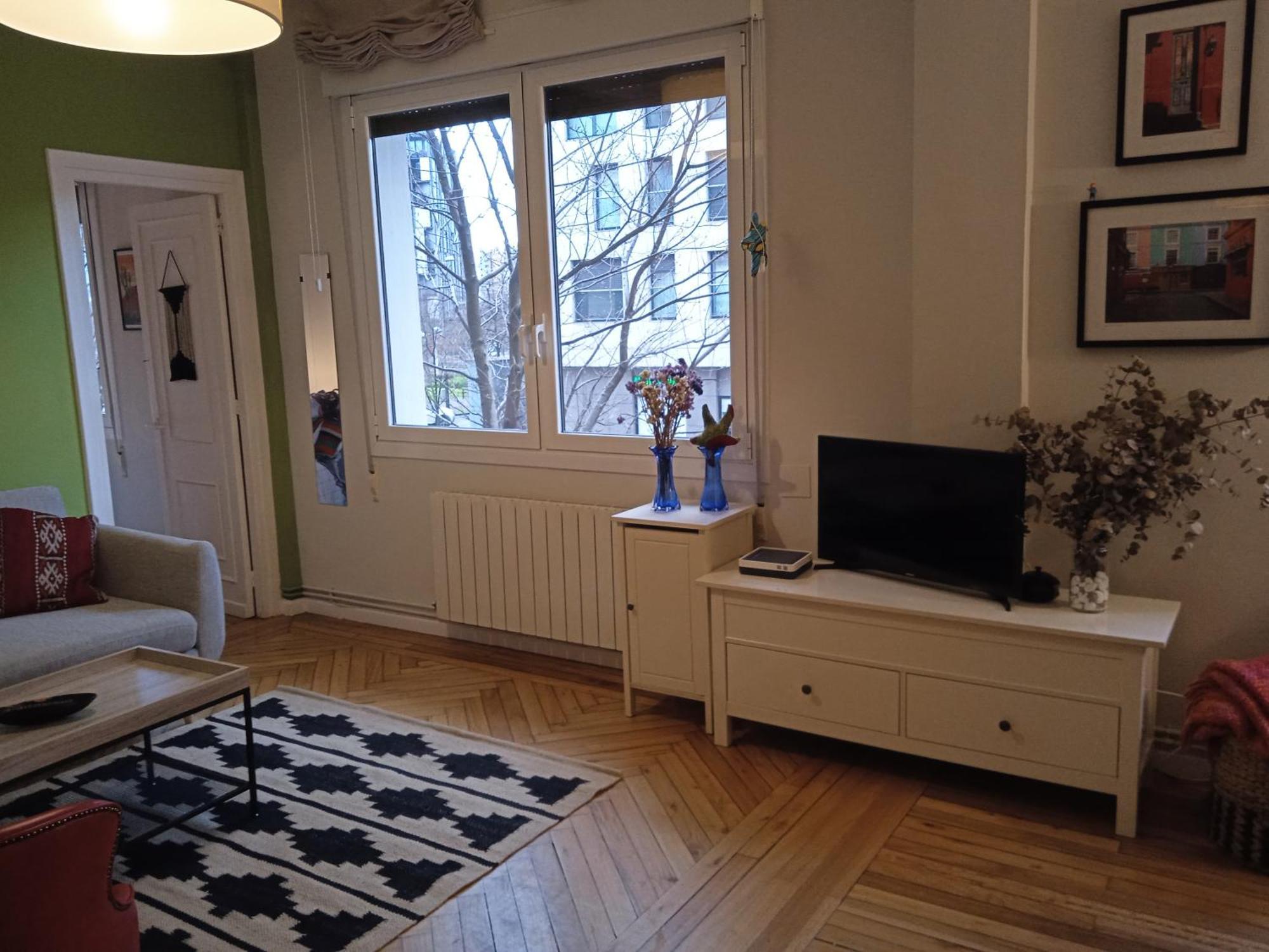 Apartamento Guggenheim Centrico Y Confortable بلباو المظهر الخارجي الصورة